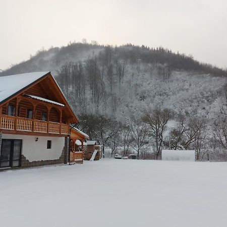 Casa Nova Villa Vişeu de Sus Dış mekan fotoğraf