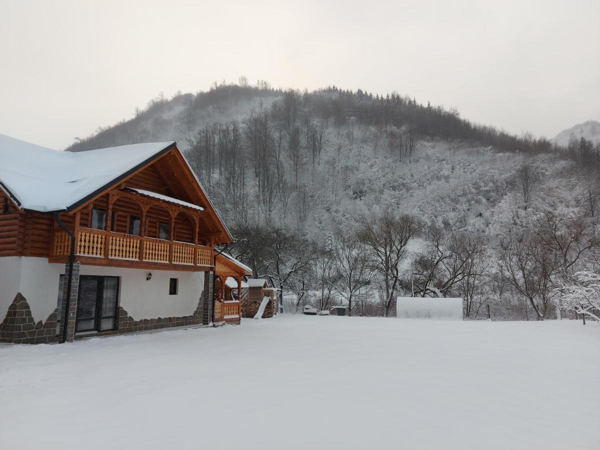 Casa Nova Villa Vişeu de Sus Dış mekan fotoğraf