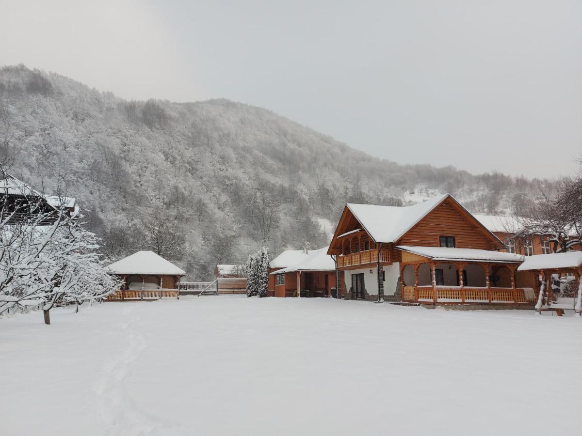 Casa Nova Villa Vişeu de Sus Dış mekan fotoğraf