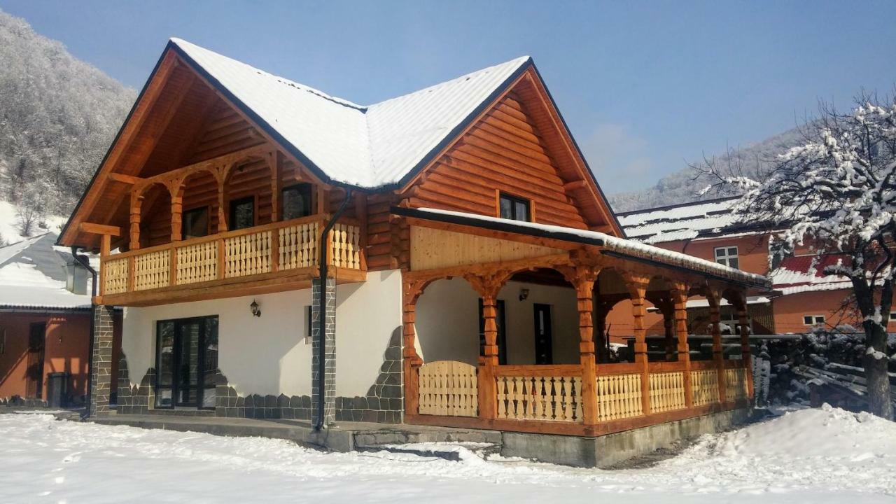 Casa Nova Villa Vişeu de Sus Dış mekan fotoğraf