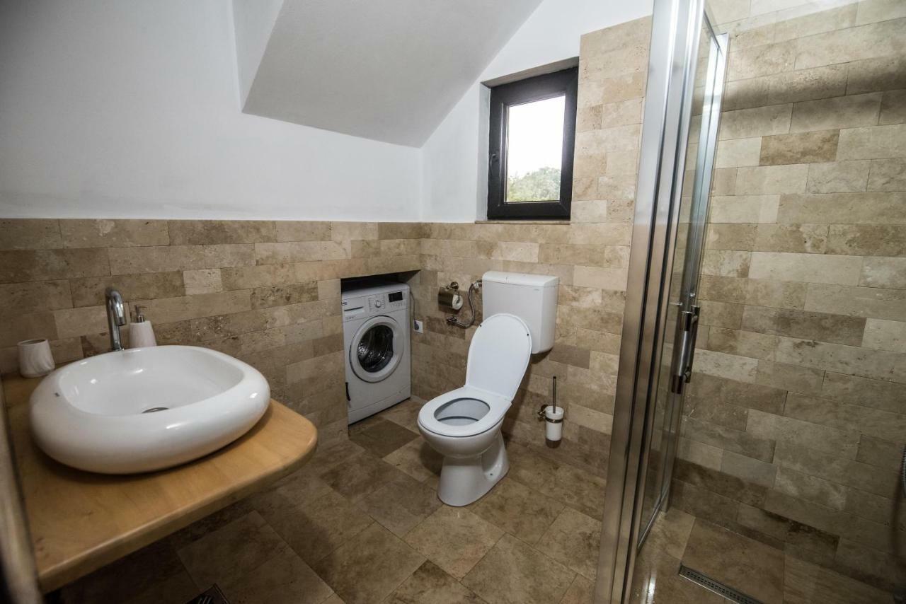 Casa Nova Villa Vişeu de Sus Dış mekan fotoğraf