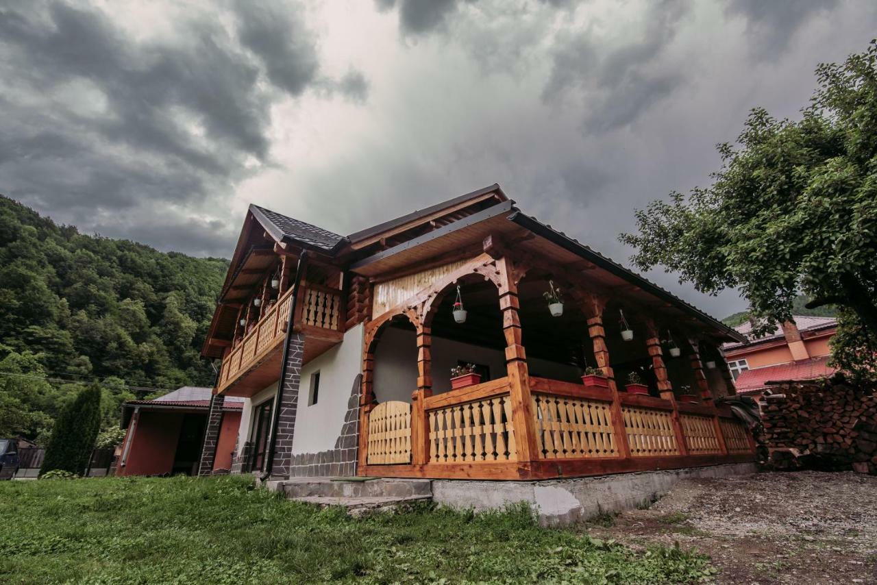 Casa Nova Villa Vişeu de Sus Dış mekan fotoğraf