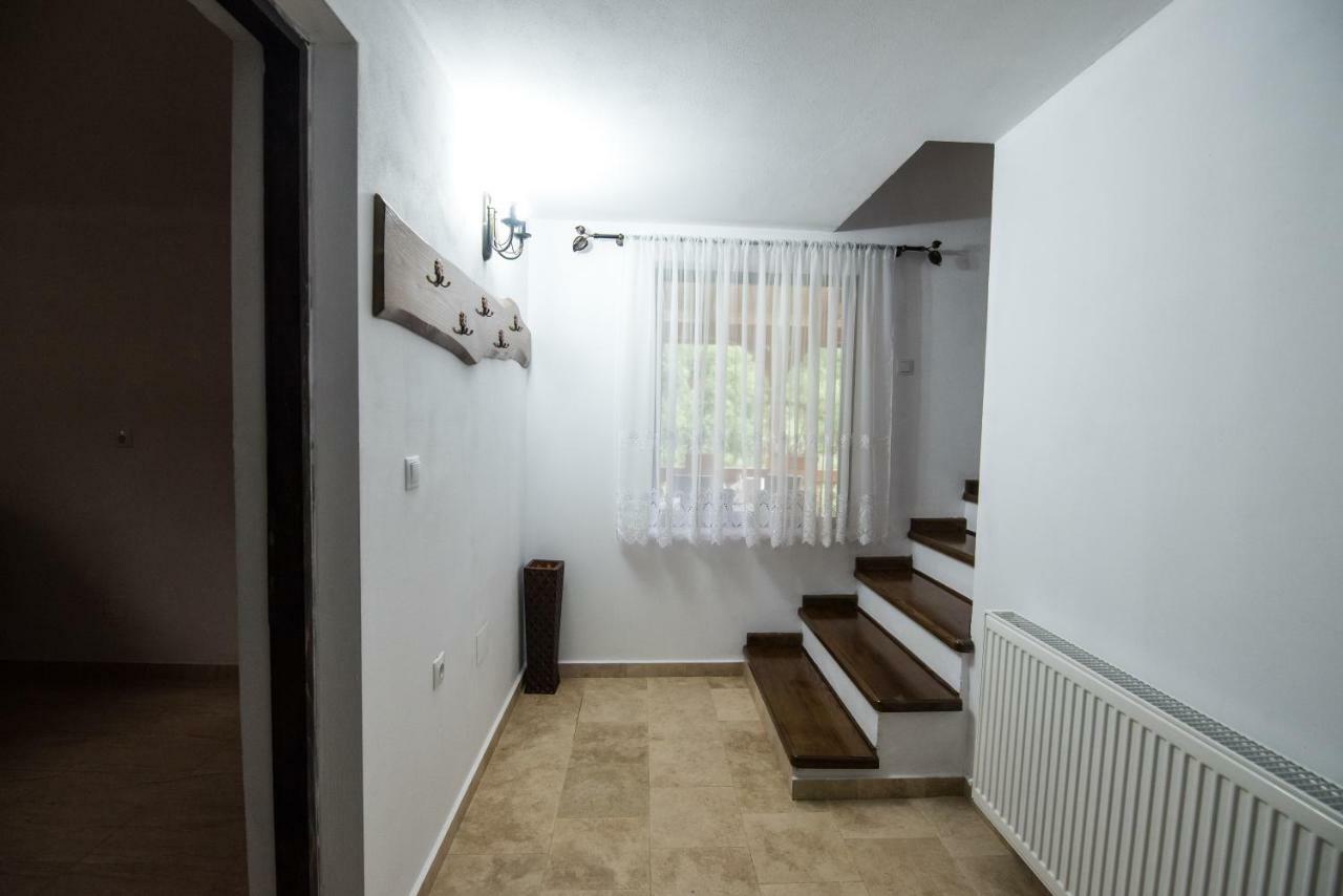 Casa Nova Villa Vişeu de Sus Dış mekan fotoğraf