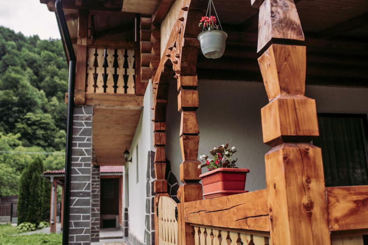 Casa Nova Villa Vişeu de Sus Dış mekan fotoğraf