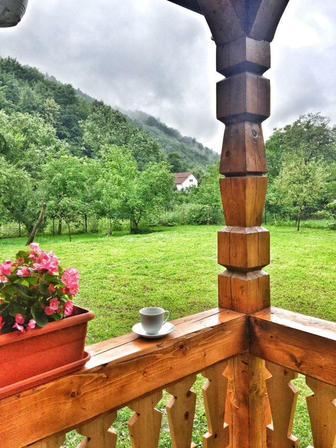Casa Nova Villa Vişeu de Sus Dış mekan fotoğraf