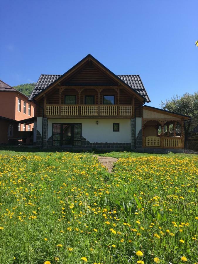 Casa Nova Villa Vişeu de Sus Dış mekan fotoğraf