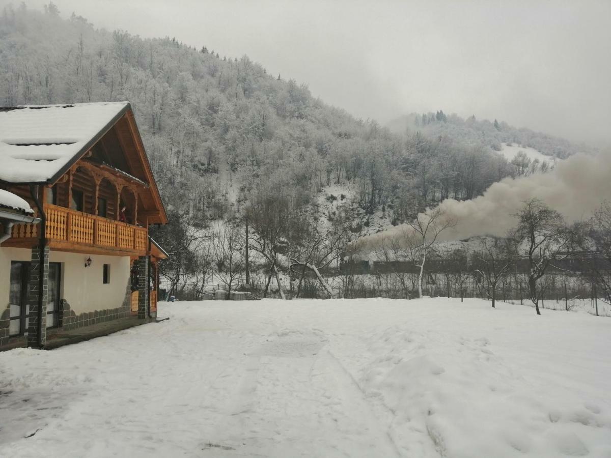 Casa Nova Villa Vişeu de Sus Dış mekan fotoğraf