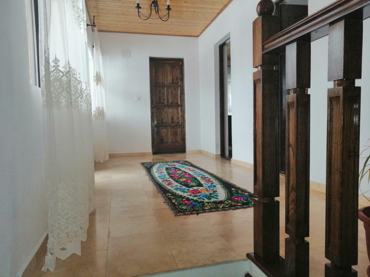 Casa Nova Villa Vişeu de Sus Dış mekan fotoğraf