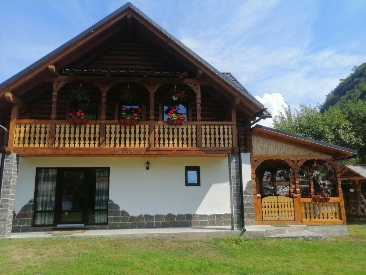 Casa Nova Villa Vişeu de Sus Dış mekan fotoğraf